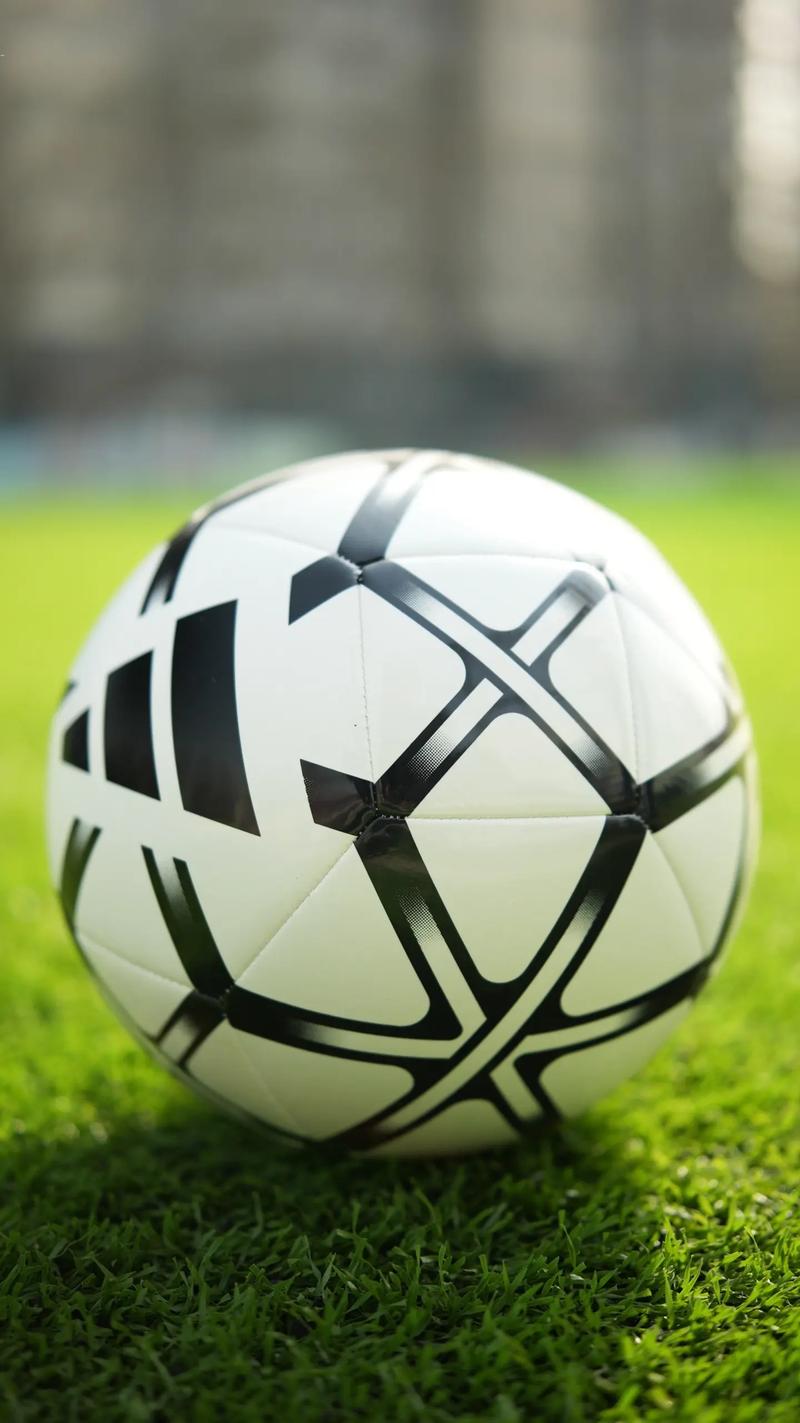 雷速体育软件下载界面展示