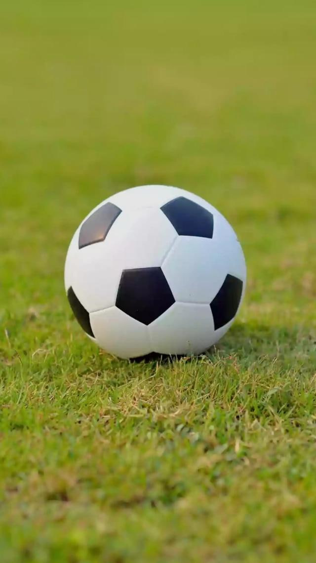 雷速体育软件多场景应用展示